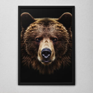 Quadro Decorativo O Urso Marrom te Olhando