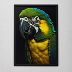 Quadro Decorativo O Papagaio Verde