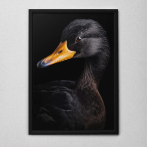 Quadro Decorativo O Pato Preto