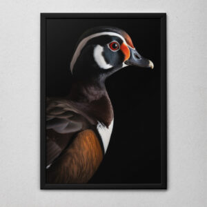 Quadro Decorativo O Pato Carolino